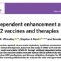 antibody-dependent_enhancement_and_sars-cov-2_vaccines_and_therapies.png