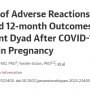 assessment_of_adverse_reactions_antibody_patterns_and_12-month_outcomes_in_the_mother-infant.png