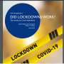 did_lockdowns_work_the_verdict_on_covid_restrictions.png