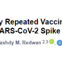 igg4_antibodies_induced_by_mrna_vaccines_generate_immune_tolerance_to_sars-cov..png