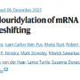 n1-methylpseudouridylation_of_mrna_causes_1_ribosomal_frameshifting..png