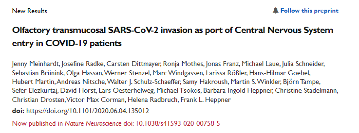 olfactory_transmucosal_sars-cov-2_invasion_as_port_of_central_nervous_system_entry_in_covid-19_patients.png