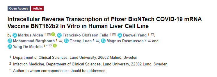 intracellular_reverse_transcription_mrna_vaccine_bnt162b.png